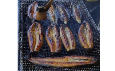 【四国一小さなまち】≪ヤマシン≫ ※ 冷凍 ※ 特選うなぎの蒲焼き　２尾