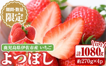 isa415 ＜2025年1月～3月発送予定＞《期間・数量限定》酸味が少なく甘いいちごよつぼし(計1080g以上 約270g×4パック) 果物 フルーツ イチゴ 苺 ストロベリー 産地直送 【大国ファーム】