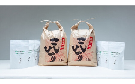 こしひかり 精米 20kg 奥伊勢茶（5g×20）3袋 （2g×40）3袋 ／ 積木商店 お米 お茶 三重県 大台町 283