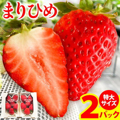 【ふるさと納税】希少！まりひめ　特大サイズ　約300g〜350g×2パック きよ農園《2027年2月中旬-3月下旬頃出荷》和歌山県 日高町 いちご 苺 まりひめ フルーツ 果物 スイーツ 送料無料
