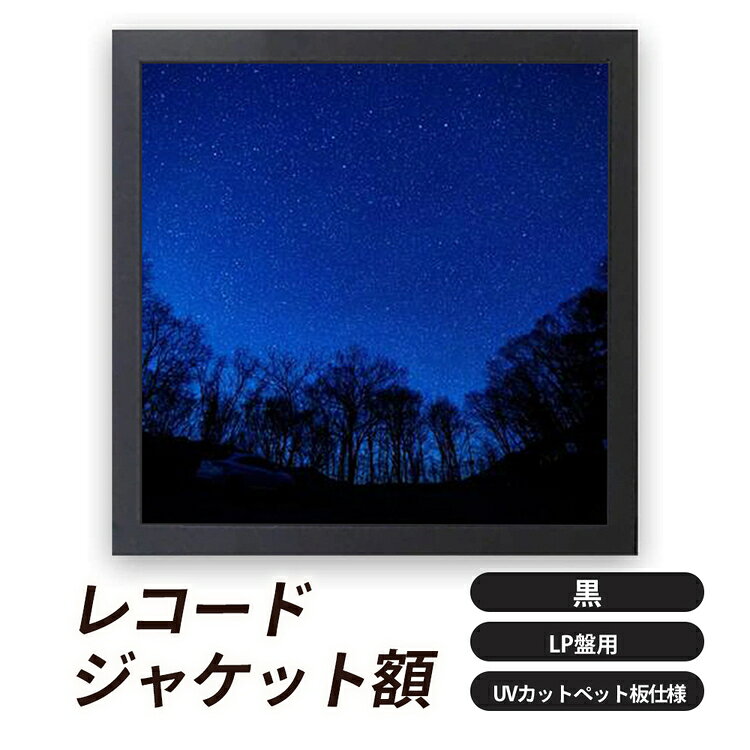 【ふるさと納税】レコードジャケット額 黒 LP盤用 UVカットペット板仕様 [No.704] ／ フレーム シンプル オシャレ 送料無料 岐阜県
