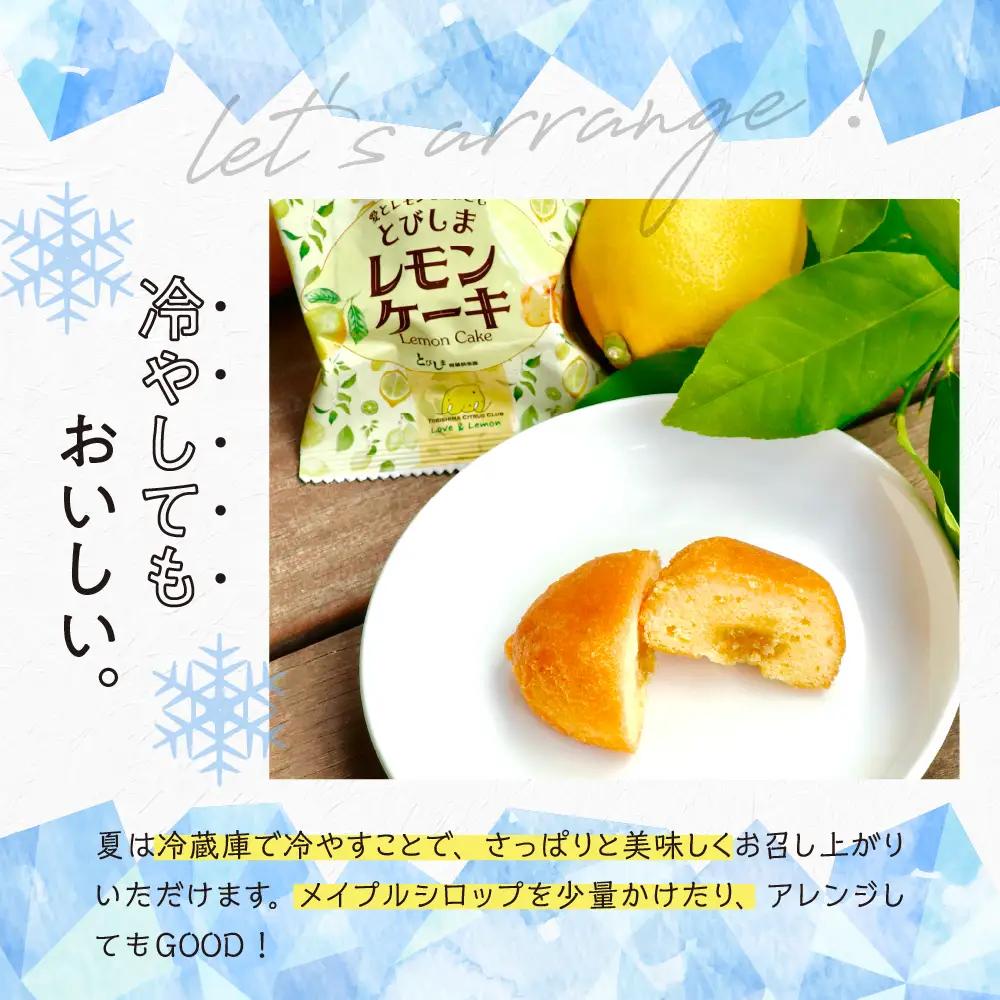 レモンケーキ1箱(5個入)　ku118-026-r