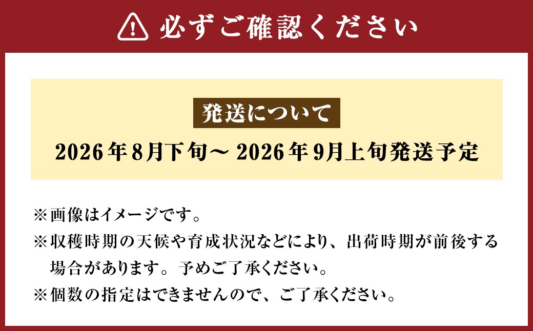 【ご家庭用】 九重町産 豊水 約3kg（約6～8個）