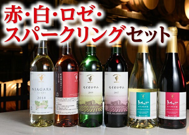 【ふるさと納税】北海道 十勝ワイン 赤・白・ロゼ・スパークリングセット6本 記念日 父の日 母の日 クリスマス 送料無料 ふるさと納税 お酒 赤ワイン 白ワイン ロゼ スパークリング