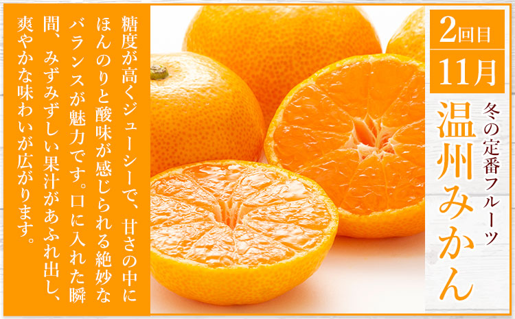 秀品 みかん 3ヶ月定期便 【スペシャル：計25kg】 日本フルーツ株式会社《2025年10月上旬-12月末頃出荷》熊本県 長洲町 早生みかん 温州みかん 不知火 果物 フルーツ スイーツ デザート 