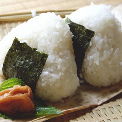 ふるさと納税 広川町 【毎月定期便】福岡有明のり　訳あり!　焼海苔　20g×6袋(広川町)全6回 |  | 02