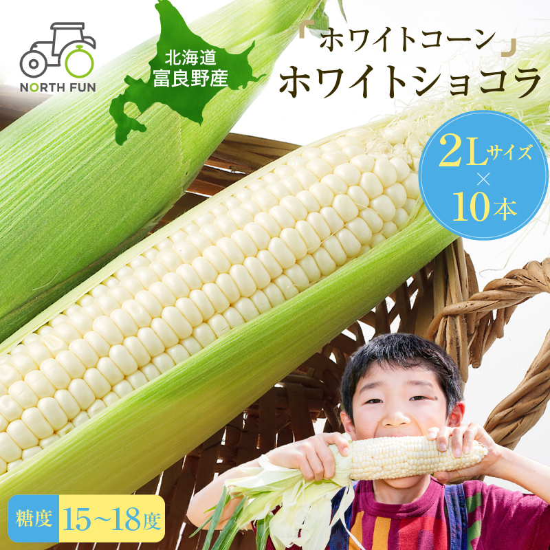 【2026年7月発送】富良野産 ホワイトコーン『ホワイトショコラ』BIG 2Lサイズ10本 とうもろこし