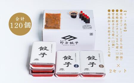 【野方餃子】 冷凍生餃子セット 20人前（120個）