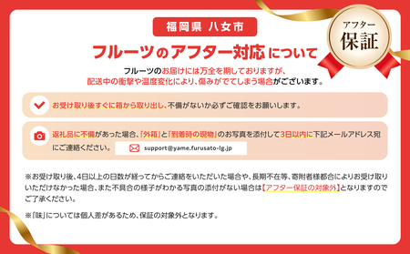種なし 巨峰 1.4kg（350g×4パック）【ＪＡふくおか八女】｜7月上旬～8月上旬発送予定 002-006