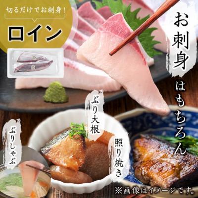 ふるさと納税 垂水市 【鹿児島産ぶり】 冷蔵 ぶり 皮無ロイン (背腹計2p) 【アクアブルー】B2-4775 |  | 02
