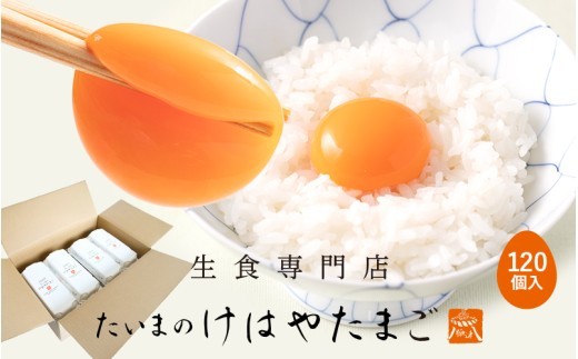 
                  たいまのけはやたまご 120個入り ／たまご 生卵 奈良県 葛城市 コク 黄身 ビタミン 卵かけご飯 TKG すき焼き お菓子作り 朝食 ギフト 贈答用 天然水 こだわり【tegg005】
                