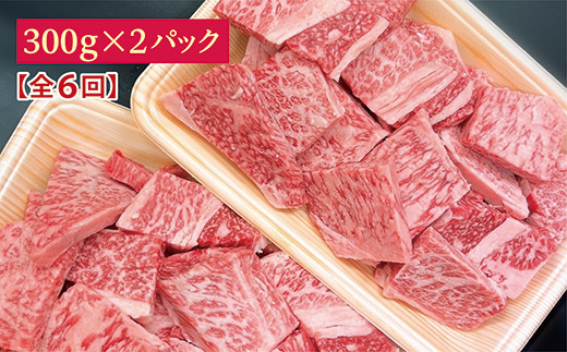 【6回定期便】佐賀牛小肉「はしっこちゃん」奇数月配送 全6回 定期便 _r-15