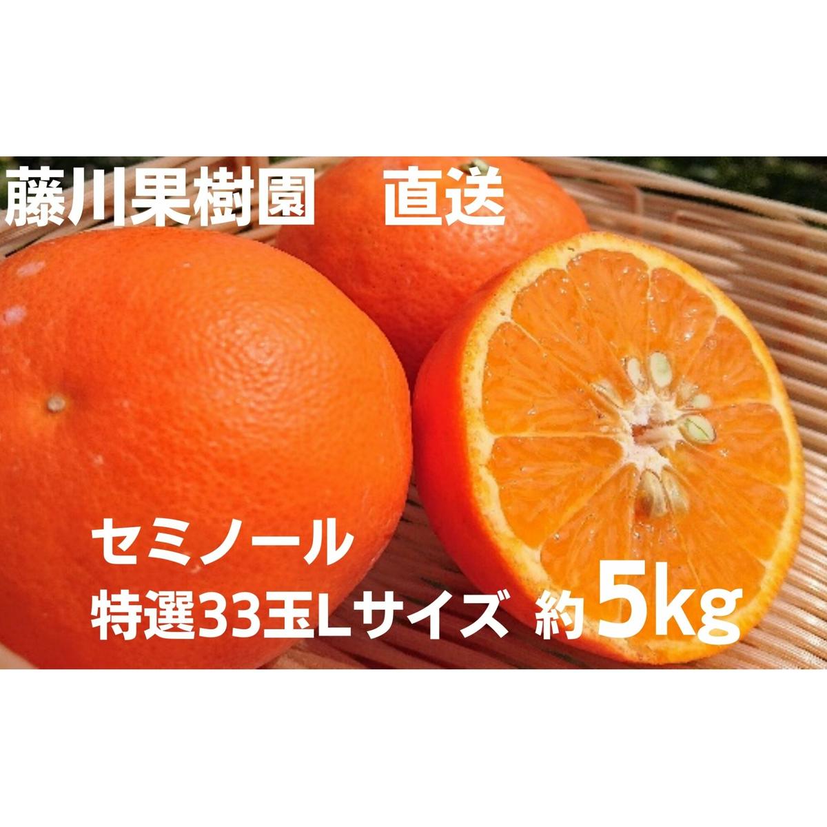 2026年先行予約 セミノール 特選33玉 Lサイズ 約5kg 果物類 柑橘類 フルーツ みかん ミカン 