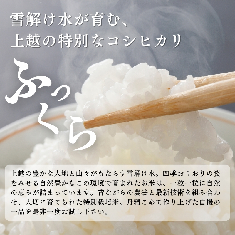 令和7年産 米 特別栽培米 コシヒカリ (白米) 10kg 10キロ 棚田米 どぶろく荘 こしひかり お米 コメ 送料無料