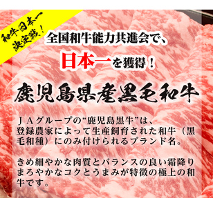 鹿児島黒牛サーロインステーキ(2枚)・黒牛すきやき用リブロース・肩ロースセット(5等級) 計約1kg【E-52H】