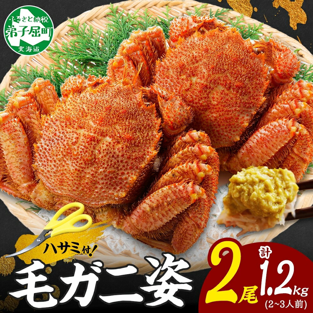 【ふるさと納税】3335. カニ 蟹 毛蟹 2尾 計1.2kg前後 食べ方ガイド・専用ハサミ付 カニ かに 蟹 海鮮 ボイル キャンプ飯 バーベキュー BBQ 送料無料 北海道 弟子屈町