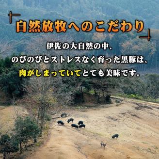 A7-07 鹿児島県産！沖田黒豚骨付きフランクソーセージ(計1.5kg・500g×3パック) 1本100gもある黒豚肉をふんだんに使用した粗挽きフランクフルト！【沖田黒豚牧場】