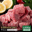 【ふるさと納税】佐賀県産 黒毛和牛 贅沢ヒレ サイコロステーキ 1kg（1000g×1パック）牛ヒレ ヒレ肉 BBQ 焼き肉 牛肉 冷凍【株式会社いろは精肉店】 [IAG014]