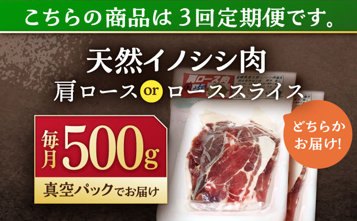 【3回定期便】ジビエ 天然イノシシ肉 肩ロース ＆ ロース スライス500g【照本食肉加工所】 [OAJ038]