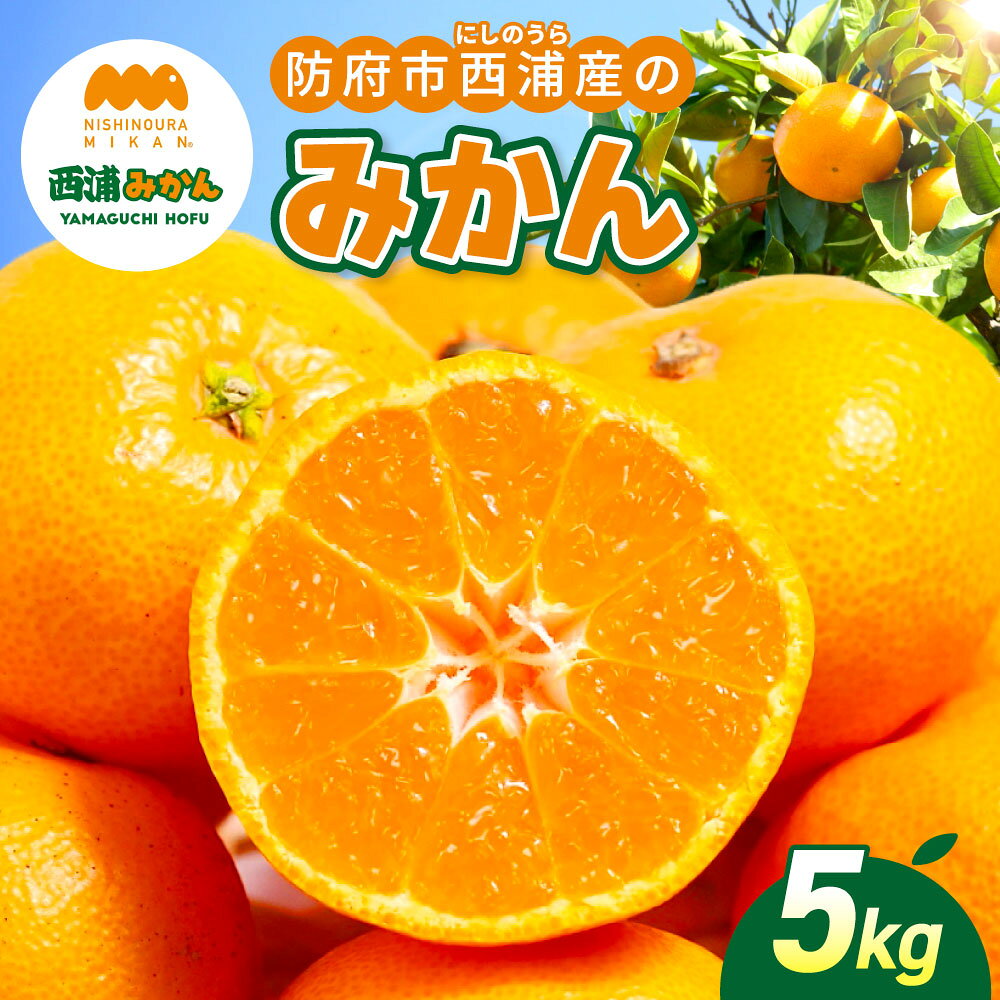 【ふるさと納税】防府市西浦産のみかん 5kg 美日山 山口県 防府市 12-046-0001 みかん 5kg 温州みかん フルーツ 柑橘 果物 赤土 産地直送 美味しい 旬