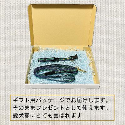 ふるさと納税 荒川区 チワワ用カラー(首輪)&リード(カラー:紺・緑・紺)【001-013】 |  | 02