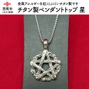 【ふるさと納税】S021-15.チタン製ペンダントトップ　星　/アクセサリー 金属アレルギーを起こしにくいチタン製