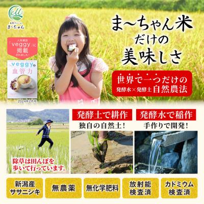 ふるさと納税 三条市 先行受付 新米 ササニシキ 白米 9kg 令和8年産米 自然農法 ま〜ちゃん米【029S003】 |  | 01
