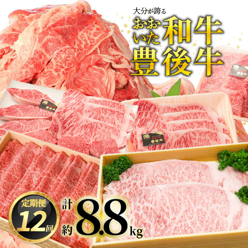 【ふるさと納税】【プレミアム定期便】大分が誇る おおいた和牛・豊後牛毎月お届け定期便（12回） 大分和牛 豊後黒毛和牛 豊後牛 百年の恵 牛肉 国産 ロースステーキ すき焼き うす切り 切り落とし カルビステーキ 焼肉 しゃぶしゃぶ バーベキュー BBQ ブランド牛 T10020