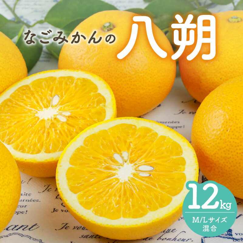 【ふるさと納税】【2027年発送先行予約品】なごみかん 八朔 12kg 【歯ごたえのある食感とスキッとした酸味！】
