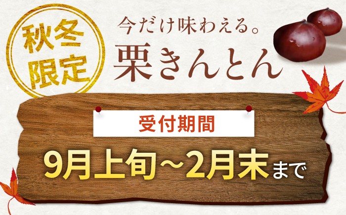 栗きんとん 12個入り(6個×2箱）栗 くり くりきんとん 和菓子 栗きんとん スイーツ 秋 季節限定 銘菓 ご当地 岐阜 白川