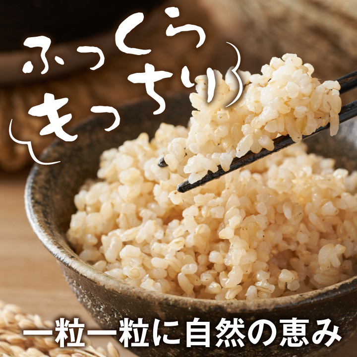 大山町産こしひかり【大山の一粒】10ｋｇ（玄米）