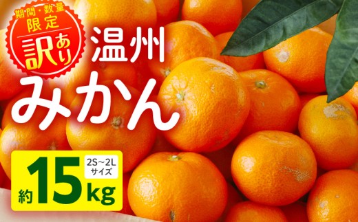 《2026年～2027年発送先行予約》【数量・期間限定】《訳あり》温州みかん15kg_M249-003-06