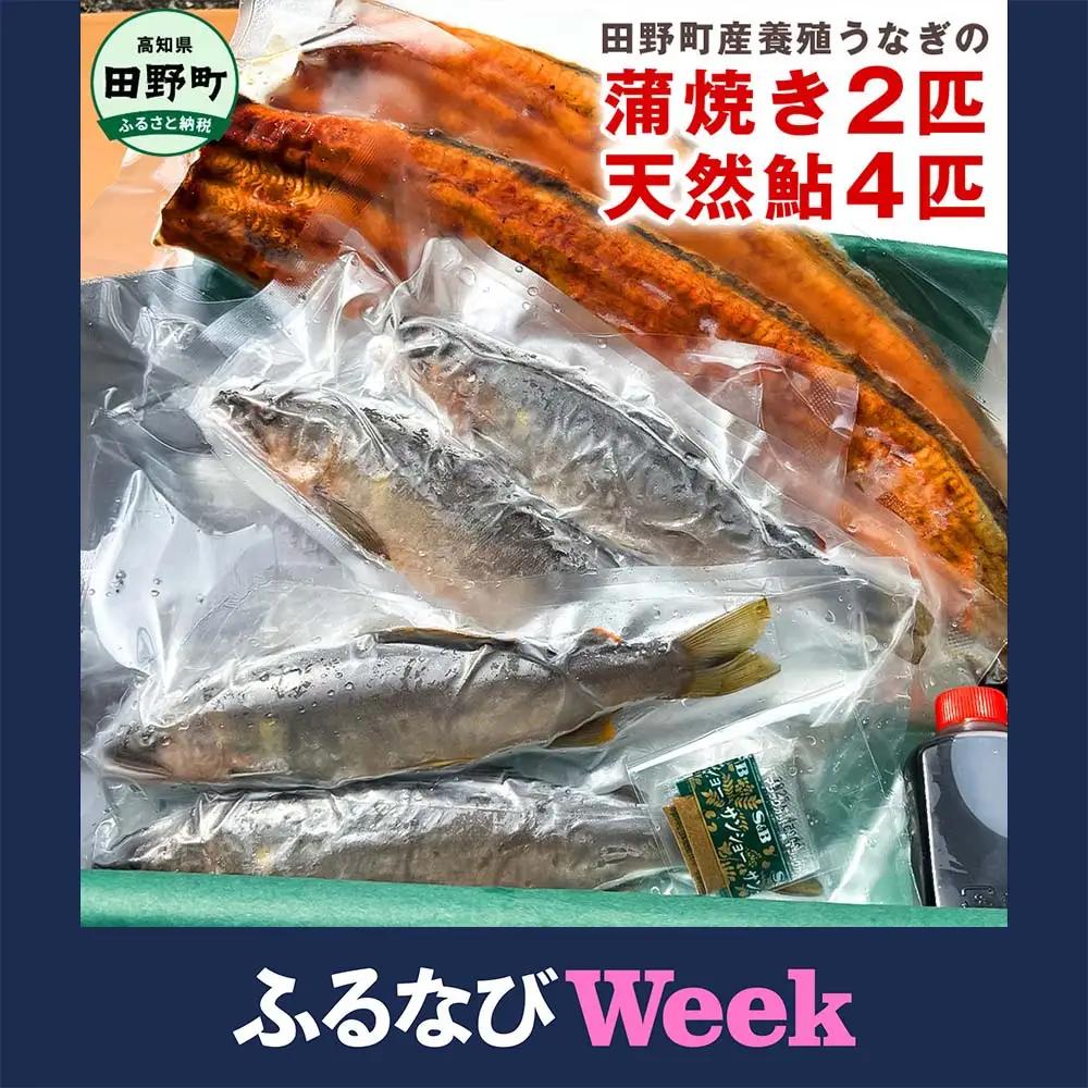 【ふるなびWEEK対象】うなぎの蒲焼き2匹と天然鮎4匹セット FN-Limited-WE