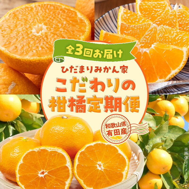 【ふるさと納税】こだわり 柑橘 定期便 ひだまりみかん家 3回 お届け 生産者直送 手選別 有田みかん 不知火 清見オレンジ 3種類 約 5 kg みかん 果汁 濃縮 コク うまみ 甘み 果肉 完熟 オレンジ ジューシー 爽やかな香り お取り寄せ 和歌山県 湯浅町 送料無料