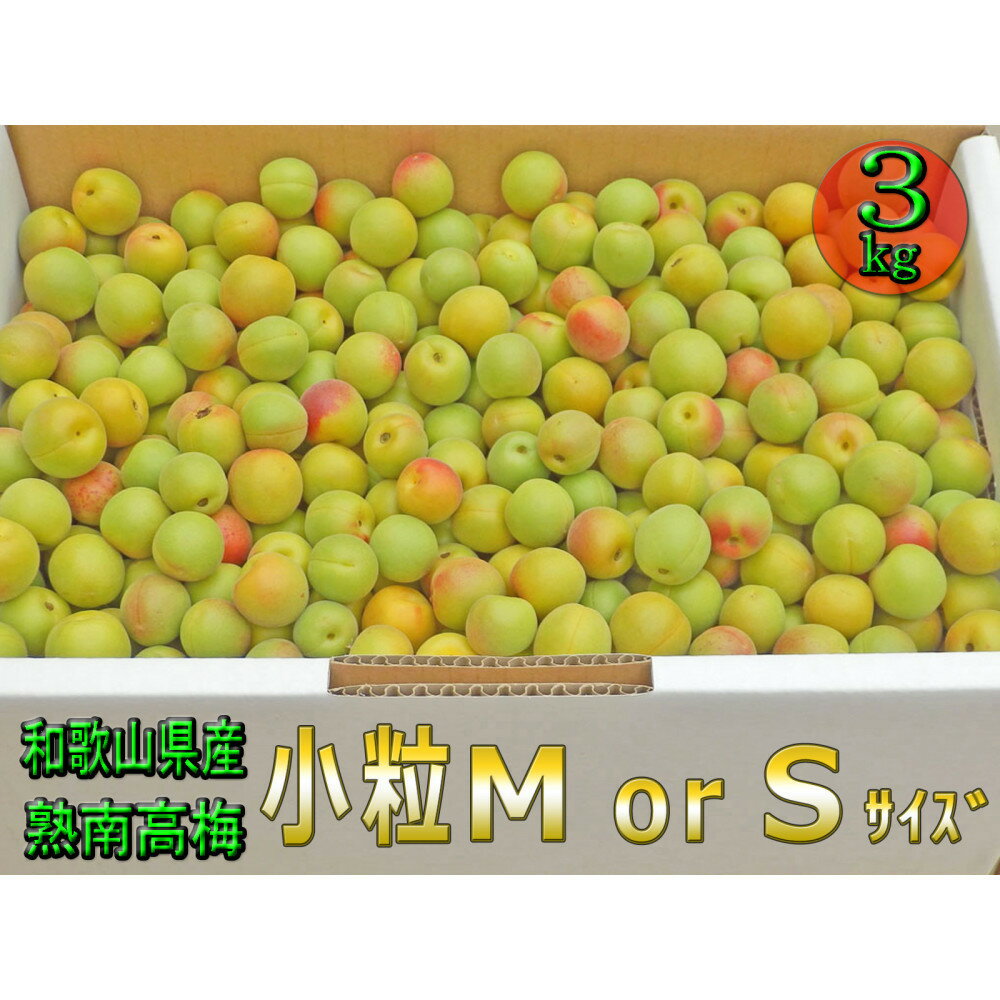 【ふるさと納税】［梅干・梅酒用］小粒（SまたはM－3Kg）熟南高梅＜2026年6月下旬～7月中旬発送予定＞フルーツ 果物 くだもの 食品 人気 おすすめ 送料無料［ART20］ | 梅 フルーツ 果物 くだもの 食品 人気 おすすめ 送料無料