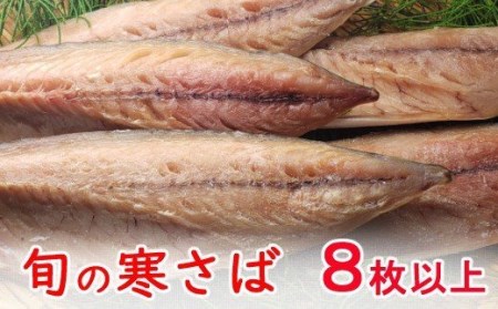 今だけ！室戸旬どれ寒さば干物８枚以上