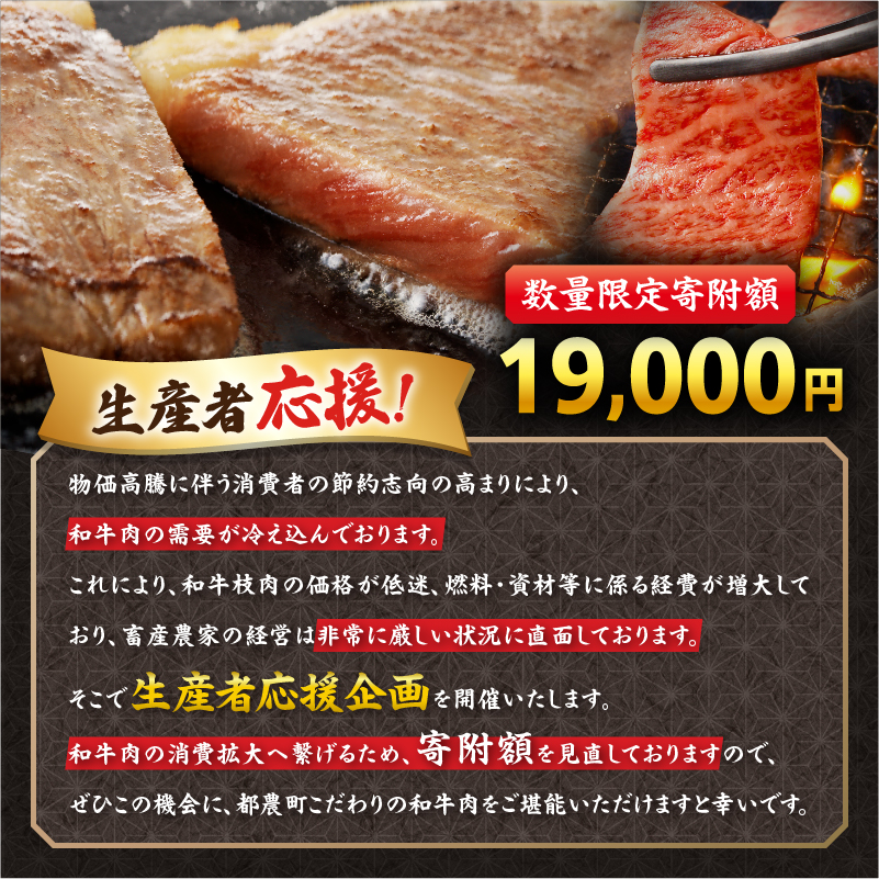 【12月発送】生産者応援≪肉質等級4等級以上≫宮崎県産黒毛和牛肩ローススライス(計800g)_T030-0171-612【肉 牛 牛肉 おかず 国産 人気 ギフト 食品 すきやき しゃぶしゃぶ BBQ