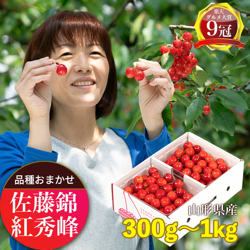 【ふるさと納税】＜ 先行予約 ＞ 山形県産 さくらんぼ ( 佐藤錦 ・ 紅秀峰 ) 秀品 L以上 選べる 300g ・ 500g ・ 700g ・ 1kg 【2026年6月下旬から7月上旬】 山形県 果物 フルーツ 初夏 夏 贈答用 ギフト お中元 大粒 送料無料