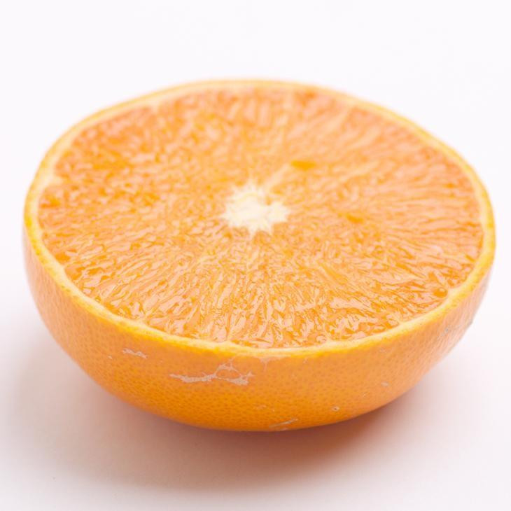 
            ［先行予約］家庭用 せとか5kg+250g（傷み補償分）［柑橘・春みかんの王様］［わけあり・訳あり］［光センサー選果・食べ頃出荷］［IKE63］
          
