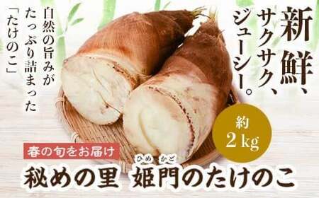 【B32001】秘めの里 姫門のたけのこ(約2kg) 鹿児島 国産 たけのこ 筍 タケノコ 野菜 産地直送 煮物 味噌汁 炊き込みご飯【秘めの里 姫門のたけのこ】