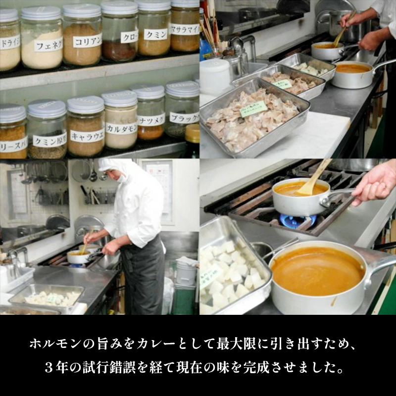 ホルモンカレー 10個 旧海軍レシピから作った舞鶴観光特選みやげ推奨品 レトルトカレー 肉カレー ビーフカレー ホルモン カレー ご当地カレー ご当地グルメ お土産 カレーライス 舞鶴カレー レトルト