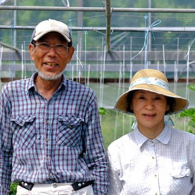 ふるさと納税 大月町 新生姜 1.5kg前後 しょうが 生姜 期間限定 旬野菜 薬味 穫れたて 産地直送 ジンジャー 新鮮 |  | 01