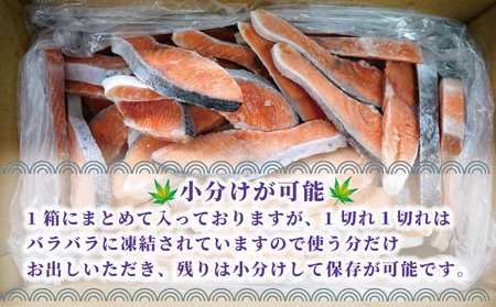訳あり 厚切り 塩銀鮭 切り身 約1.5kg 鮭 鮭 鮭 鮭 鮭 銚子東洋