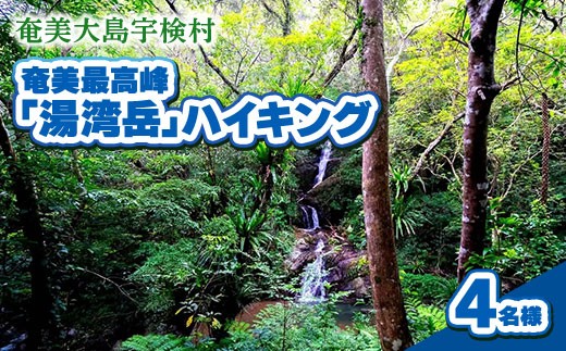 奄美最高峰「湯湾岳」ハイキング 4名様 奄美大島 宇検村 鹿児島県 旅行 自然 冒険 完全プライベート