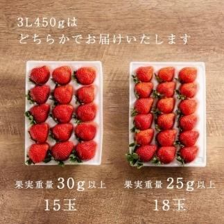 【2025年1月～4月納品分予約販売】武下さんちの完熟あまおう3Lサイズ450g。白いVIPボックスに入れて！