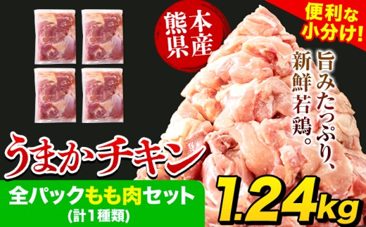 うまかチキン 全パックもも肉セット(計1種類) 合計1.24kg 《3-7営業日以内に出荷(土日祝除く)》ふるさと納税 肉 とり とり肉 鳥もも肉 小分けバック 鳥 とりもも 冷凍 定期 大容量 もも肉 数量限定 簡易包装 鶏肉