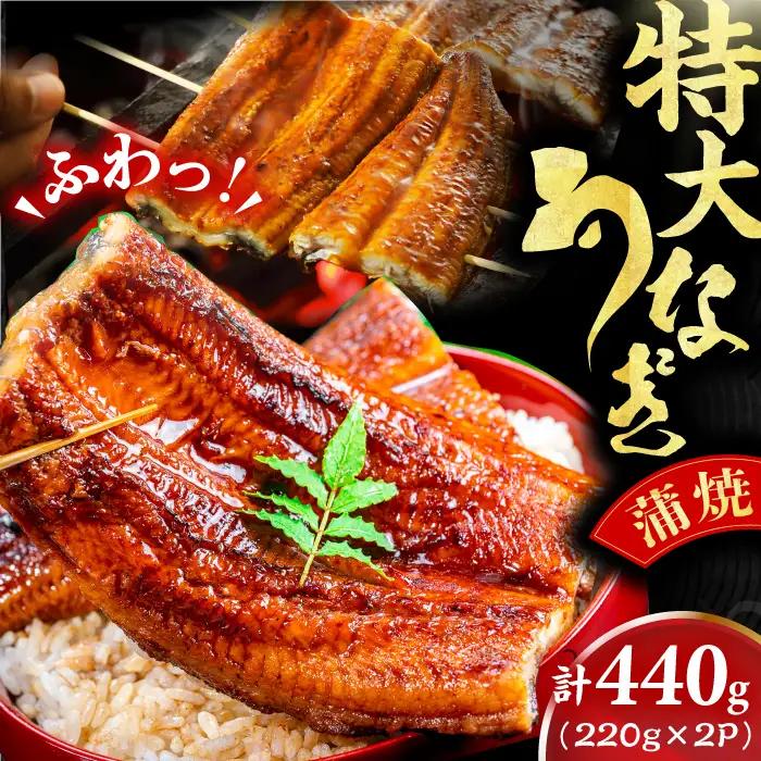 特大うなぎ蒲焼（220g×2尾） / うなぎ ウナギ 鰻 [AFBS005]