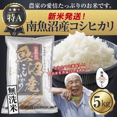 ふるさと納税 南魚沼市 無地のし 無洗米 令和7年産 南魚沼産 コシヒカリ 5kg (お米の炊き方ガイド付)