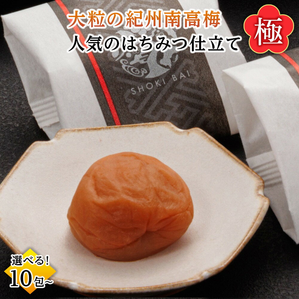 【ふるさと納税】大粒の紀州南高梅 人気のはちみつ仕立て「極」10包／16包 | 和歌山県 和歌山市 和歌山 楽天ふるさと 納税 支援品 返礼品 お取り寄せグルメ お取り寄せ 取り寄せ グルメ 梅干 梅干し うめぼし はちみつ 紀州南高梅 はちみつ梅干し はちみつ梅 ハチミツ梅干し