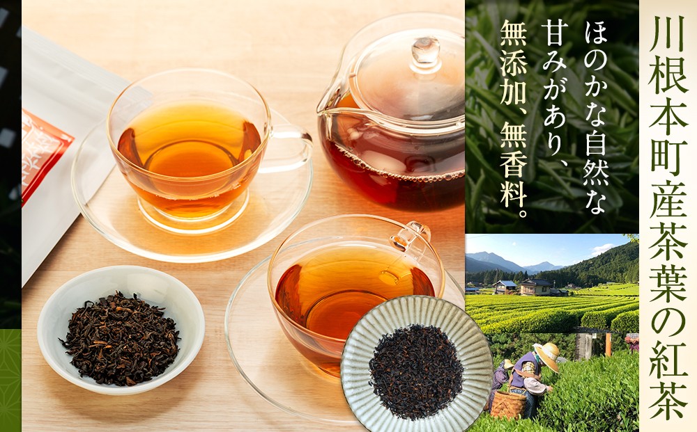 川根紅茶 紐付きティーバッグ5袋